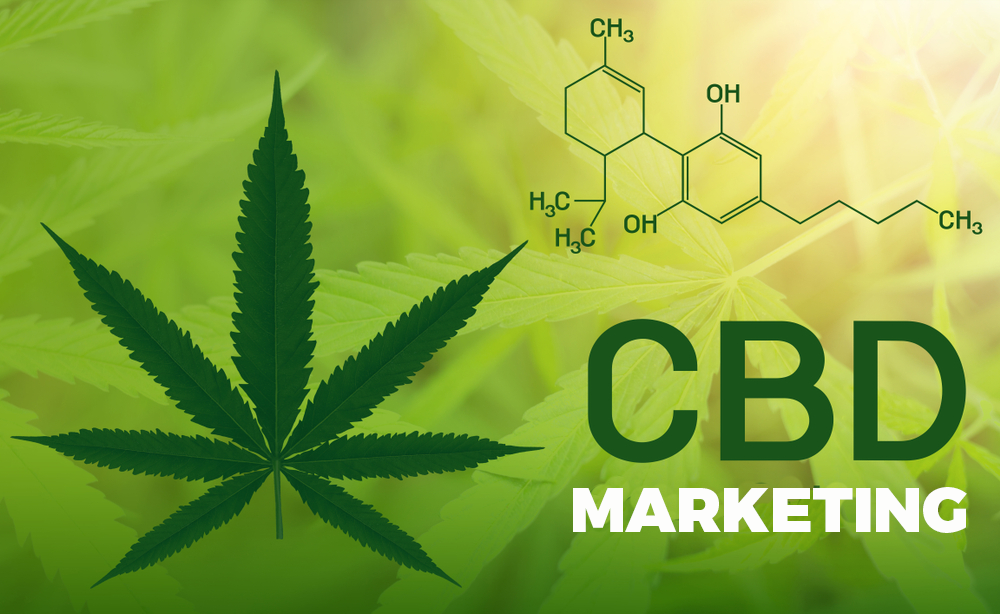 Harness the Power of Data-Driven CBD Marketing