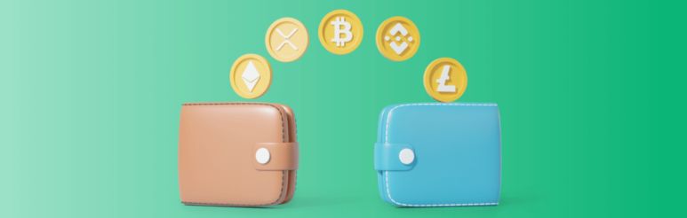 The Ultimate Stablecoin Wallet for Secure & Instant Payments